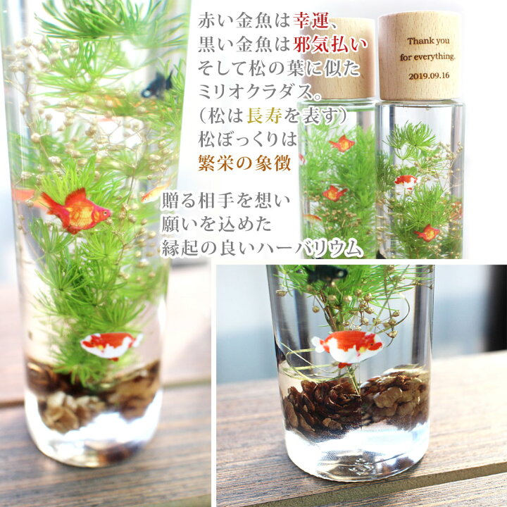 楽天市場 送料無料 和風ハーバリウム 金魚鉢 楽ギフ 名入れ 楽ギフ 包装 ギフト 贈り物 母の日 敬老の日 世界にひとつだけの雑貨店