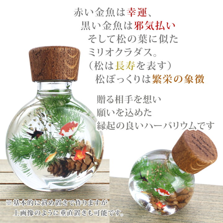 楽天市場 送料無料 和風ハーバリウム ま るい金魚鉢 楽ギフ 名入れ 楽ギフ 包装 ギフト 贈り物 母の日 敬老の日 世界にひとつだけの雑貨店