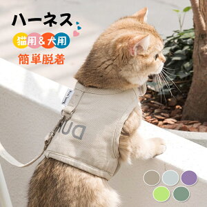 Lpn[lX Lp ^p [v ȒPE  ybgpi p y Ԕ  ʋC lC TCY߉\ h~