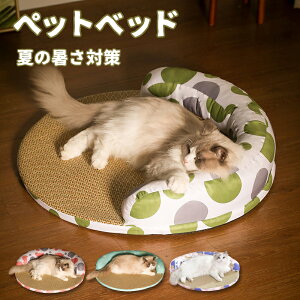 yLpzybgxbh ybgNbV ybg}bg t p Lp ėp ybgpxbh ybg}bg p ǂQSn  Ђ 􂦂 ~ߕt ʋC 