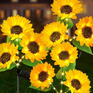 K[fCg \[[Cg O h 둕Cg Ђ܂̃\[[Cg \[[K[fCg \[[[d  뉀 _/ K[fI[ig 胉Cg