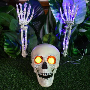 nEB 3_Zbg \[[Cg LED[ [ nEBCg _ O | ͋C A K[f J[f