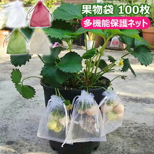 ʕ یlbg ʎ 100 ʎphlbg ʋC bV 悯lbg 悯lbg ʕیobO ʎ 悯 JX΍ Q uhEp |͔|p В _Ɨp 