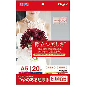 i܂Ƃ߁j Digio2 CNWFbgv^p 掆^Cv A5^20 JPSK2-A5-20y×5Zbgz ([J[)