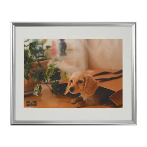 ʐ^z A3 Vo[ F-SP-113-SV([J[)