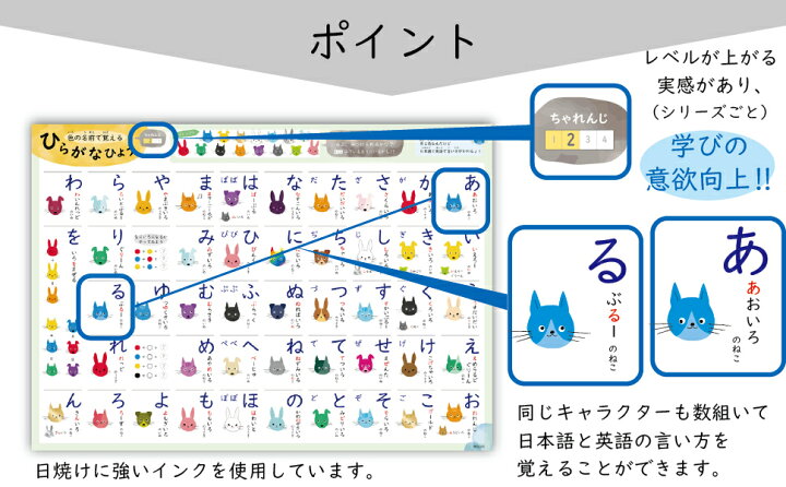お風呂ポスター うさぎデザイン 60 42cm カタカナ 日本製 ねこ カタカナ表 ノートライフ 地図で覚える いぬ ポスター 防水