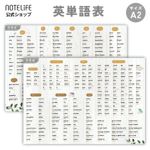 pP C|X^[ A2i59×42cmjyƒ닳tďCz{Eh 2Zbg o邨܂t w w wK|X^[ m[gCt