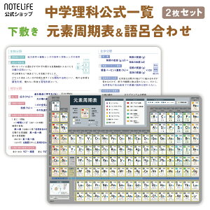 y~ 2Zbgzf\{w A4(30×21cm) { m[gCtbfL qԍ Ȍ  ׋ 