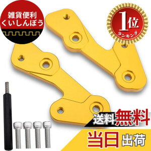 �y�y�V�����L���O1�ʊl���z�y���������zLEDISHUN �o�b�N�X�e�b�v �A�W���X�^�[ 30mm �A�b�v 25mm �o�b�N �J���T�L ZX-25R(2020-2023) ZX-4R ZX-4RR (2023+)�ɓK�p �F�F�S�[���h