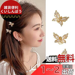 ALLMIRA wANbv ~j 3Zbg  Nbv  oXNbv  wAANZT[ X  ONbv wAs p[  킢 X O wA hair clip