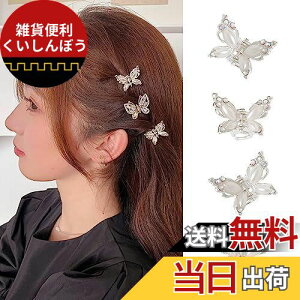 ALLMIRA wANbv ~j oXNbv   Nbv ւ wAANZT[ ݂ǂ Nbv wA hair clip   (Vo[ 4)