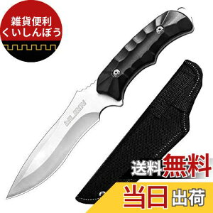 LviCt V[XiCt WliknyS223mm t^O\zToCo iCt d AEghA ނ ₷ y[p[iCt   R o[xL[ gp h @\ DIY o
