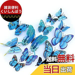 ULIN  3D  EH[XebJ[ ǎV[  ʃe[v V[ rO ① CeA ǃV[  킢 EH[y[p[ |X^[ u[