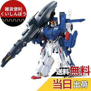 MG 1/100 FA-010S tA[}[_u[[^K_ (@mK_ZZ)