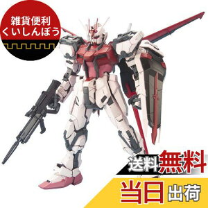 PG 1/60 MBF-02 XgCN[W + XJCOXp[ (@mK_SEED)