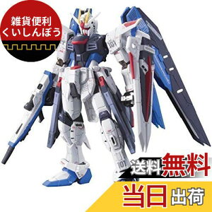 RG @mK_SEED ZGMF-X10A t[_K_ 1/144XP[ Fς݃vf