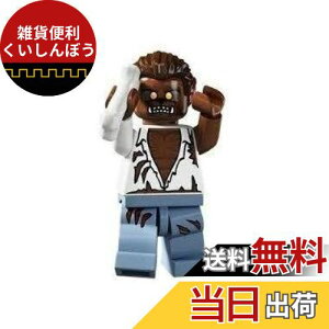 S(LEGO) ~jtBMA V[Y4 Tj (Minifigure Series4) 8804-12