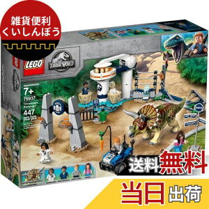 S(LEGO)WVbNE[h gPgvX̖\ 75937 ubN   j̎q