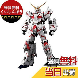 PG 1/60 RX-0 jR[K_ (@mK_UC)