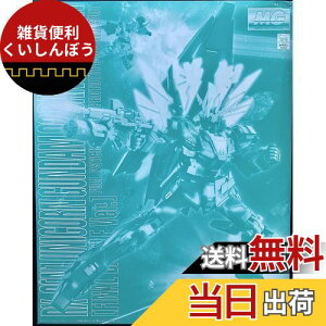MG 1/100 jR[K_2@ oVBEm(ŏIVer.)vf(v~Ao_C)