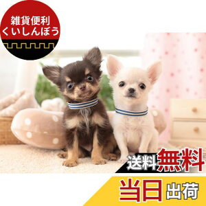 G|bN 300s[X WO\[pY /ybg   (26×38cm) 25-163 ̂t wt _t EPOCH