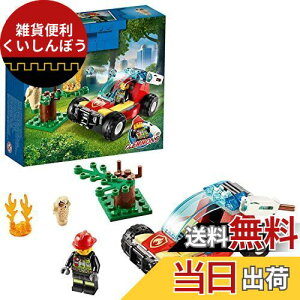���S(LEGO) �V�e�B �X�̉Ύ� 60247