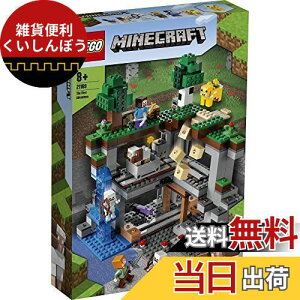S(LEGO) }CNtg ŏ̖` 21169  erQ[ j̎q ̎q 8Έȏ