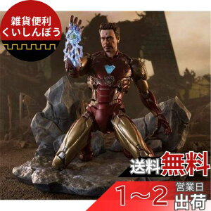 o_C(BANDAI) S.H.Figuarts ACA} }[N85 -sI AM IRON MANt EDITION- iAxW[Y^GhQ[j