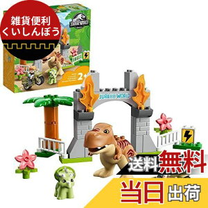 S(LEGO) fv T-bNXƃgPgvX̑傾 10939  ubN v[gc Ԃ  傤イ j̎q ̎q 2Έȏ