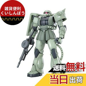 MG @mK_ MS-06J ʎY^UNVer.2.0 1/100XP[ Fς݃vf