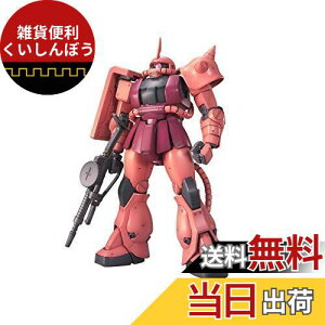BANDAI SPIRITS(o_C Xsbc) MG @mK_ MS-06S VApUNVer.2.0 1/100XP[ Fς݃vf