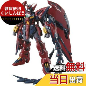 MG V@LK_W Endless Waltz K_GsI EW 1/100XP[ Fς݃vf