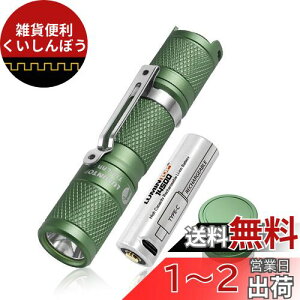LUMINTOP ^yLEDd tbVCg 邳900[ A_60 5[h/drt/}We[t IP68 Sh ϏՌ1.5M POdrΉ h d΍ nfBCg (Tool 