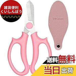  oT~ | Kȃnht̒뙒͂݁AԂ̃AWA΂ AÃg~OAJo[t, |HɔɓK|̃v̉Ԃ͂ (s