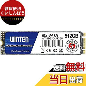 WINTEN 内蔵 SSD 512GB M.2 2280 3D NAND SATA3 6Gb/s (最大読取 530MB/s 最大書込 500MB/s) 5年保証 WTM2-SSD-512GB 【国内正規代理店品】