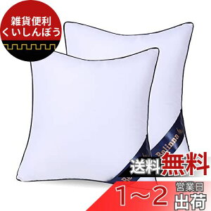 Belinna NbVg 45x45cm*2ĩTCYj ׂȂ Zbg cushion w \t@[NbV k[hNbV ې􂢉\ 