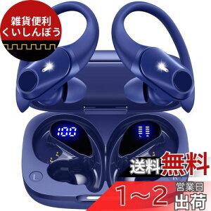 Cz bluetooth |Cz CXCz bluetooth Cz ő40ԍĐ u[gD[XCz Hi-Fi AACΉ LEDfBXvC {^둀Ȃ ȂCz 