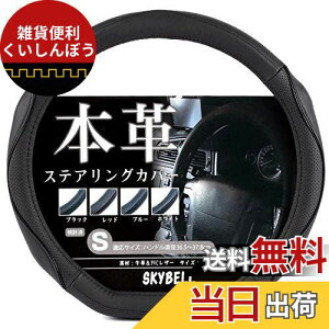 XJCx nhJo[ d^ {v sTCY ʎ y   3D Obv XeAOJo[ U[ SKYBELL (ubNXeb`)