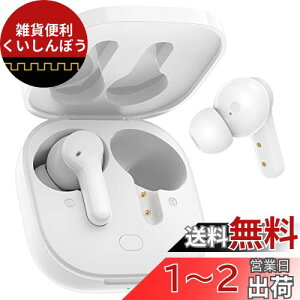 QCY T13 CXCz Bluetooth 5.1 40ԍĐ u[gD[XCz }CN NAȒʘb pAPPΉ Type-C}[d yAO E^ Ў/[h ^b`ȒP SBC/