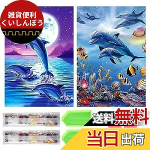 TRX _ChA[g Lbg _Ch̊G 2Zbg ꂢ Sʓ\t _ChA[g 5D S l̎q DIY |Lbg Ƃ̕ǂ̑ (iCJ1j)