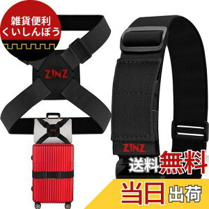 ZINZ 2 pbN̒eוXgbvƃX[cP[X oW[A߉\ȃobO xg gx ANZT[ -/