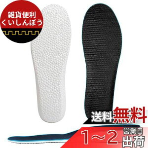 [Kozzim] V[Nbg C\[ ~ Ռz gAbv Iׂ鍂3TCYy1.5cm/2.5cm/3.5cmz