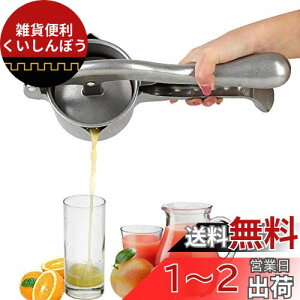 HCTOOL nh W[T[ ʏ` i ڂ W[T[ i ቷ 蓮 ʏ`  W[Xi t[cڂ Ɩp ƒp (F)
