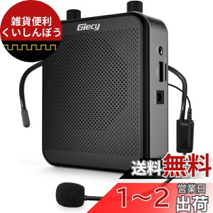Giecy g|[^u^Kz30W 2800mAh USB microSD Ή gnYt[ tXs[J[ Lwbh }CNt Cxg u ^ I hЗp X̔ όKChȂǂɍœKI (G 3