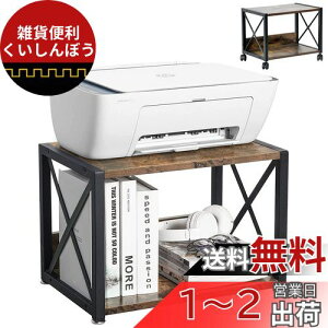 JIYUNII v^[ v^[bN ؐ 2i v^[S [ v^[[ さ LX^[t v^[X^h 44×s30×31cm ItBX  [pi