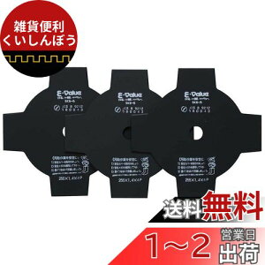 E-Value p ֐n 4n Gp 25ccȏ㐄 255mm×4P 3