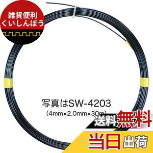 fT X`[C[ ēd| 3.0×1.5mm 30m SW-3153