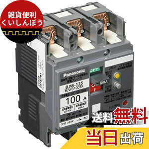 pi\jbN(Panasonic) Rdu[J BJW-125^ 3P3E OCt 100A 30mA [^ی쌓p BJW31003K