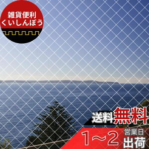 hlbg x_悯lbg 4m×10m JX ΍h ʎ؍͔|hblbg LNEh~ F ioh 15{tjLimthe