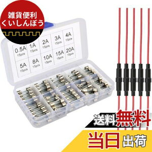 Kiligen 55×20mmCCq[Yz_C150 5 ×20mm KX q[Y (0.5A/1A/2A/3A/4A/5A/8A/10A/15A/20A)̃q[Ye15Â